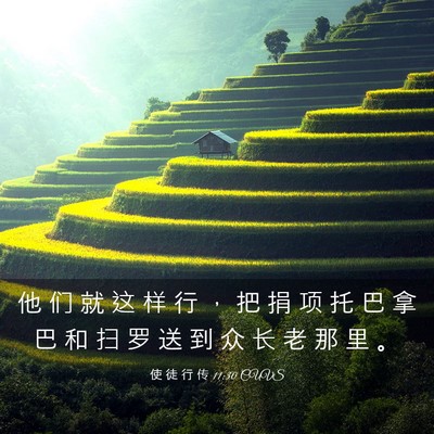 Picture 03 - 使 徒 行 传 11:30 CUVS - 他 们 就 这 样 行 ， 把 捐 项 托 巴 - Bible Verse Picture