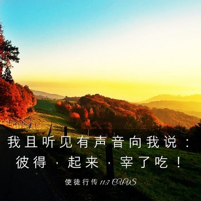 Picture 03 - 使 徒 行 传 11:7 CUVS - 我 且 听 见 有 声 音 向 我 说 ： 彼 - Bible Verse Picture