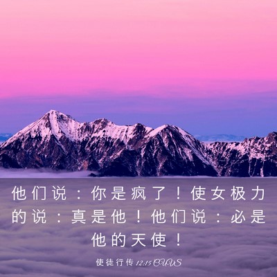 Picture 03 - 使 徒 行 传 12:15 CUVS - 他 们 说 ： 你 是 疯 了 ！ 使 女 极 - Bible Verse Picture