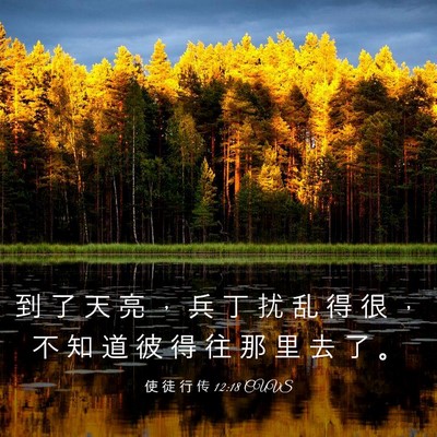 Picture 03 - 使 徒 行 传 12:18 CUVS - 到 了 天 亮 ， 兵 丁 扰 乱 得 很 ， - Bible Verse Picture