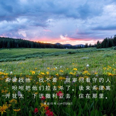 Picture 03 - 使 徒 行 传 12:19 CUVS - 希 律 找 他 ， 找 不 着 ， 就 审 问 - Bible Verse Picture