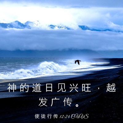 Picture 03 - 使 徒 行 传 12:24 CUVS - 神 的 道 日 见 兴 旺 ， 越 发 广 传 - Bible Verse Picture
