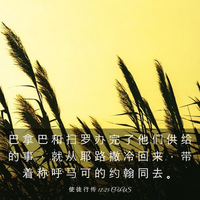 Picture 03 - 使 徒 行 传 12:25 CUVS - 巴 拿 巴 和 扫 罗 办 完 了 他 们 供 - Bible Verse Picture