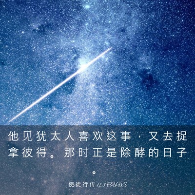 Picture 03 - 使 徒 行 传 12:3 CUVS - 他 见 犹 太 人 喜 欢 这 事 ， 又 去 - Bible Verse Picture