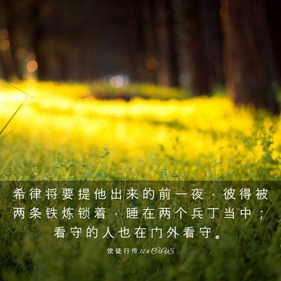 Picture 03 - 使 徒 行 传 12:6 CUVS - 希 律 将 要 提 他 出 来 的 前 一 夜 - Bible Verse Picture