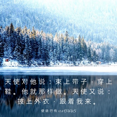Picture 03 - 使 徒 行 传 12:8 CUVS - 天 使 对 他 说 ： 束 上 带 子 ， 穿 - Bible Verse Picture