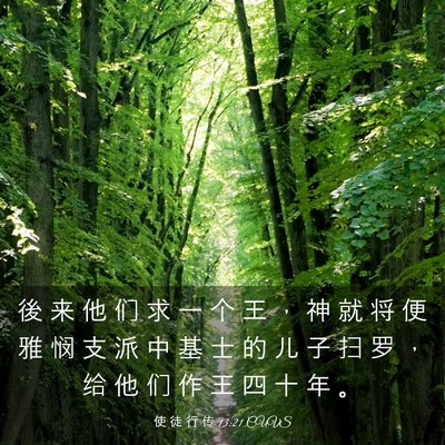 Picture 03 - 使 徒 行 传 13:21 CUVS - 後 来 他 们 求 一 个 王 ， 神 就 将 - Bible Verse Picture