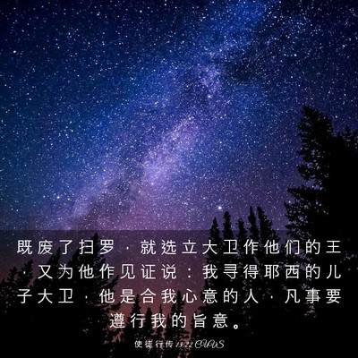 Picture 03 - 使 徒 行 传 13:22 CUVS - 既 废 了 扫 罗 ， 就 选 立 大 卫 作 - Bible Verse Picture