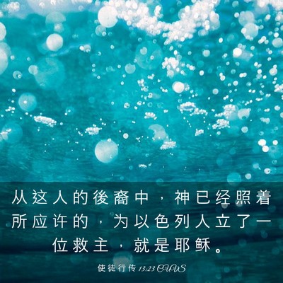 Picture 03 - 使 徒 行 传 13:23 CUVS - 从 这 人 的 後 裔 中 ， 神 已 经 照 - Bible Verse Picture
