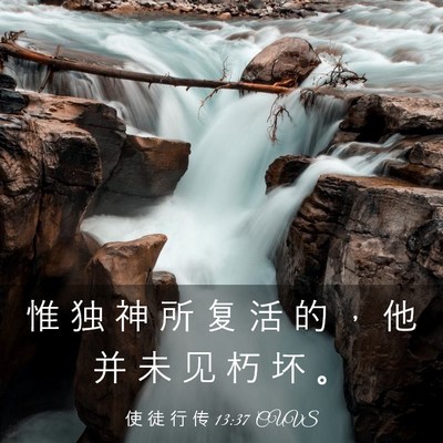 Picture 03 - 使 徒 行 传 13:37 CUVS - 惟 独 神 所 复 活 的 ， 他 并 未 见 - Bible Verse Picture