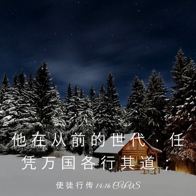 Picture 03 - 使 徒 行 传 14:16 CUVS - 他 在 从 前 的 世 代 ， 任 凭 万 国 - Bible Verse Picture