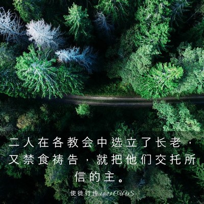 Picture 03 - 使 徒 行 传 14:23 CUVS - 二 人 在 各 教 会 中 选 立 了 长 老 - Bible Verse Picture