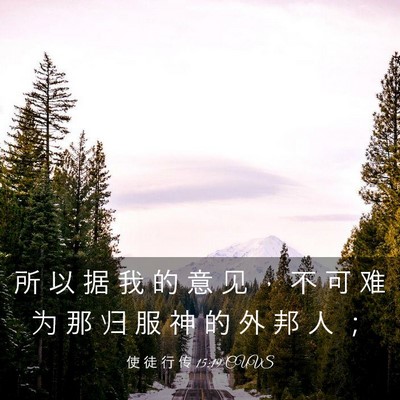 Picture 03 - 使 徒 行 传 15:19 CUVS - 所 以 据 我 的 意 见 ， 不 可 难 为 - Bible Verse Picture