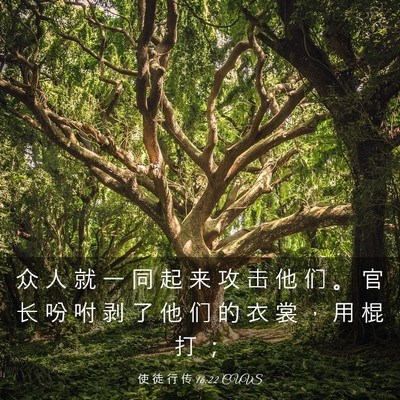 Picture 03 - 使 徒 行 传 16:22 CUVS - 众 人 就 一 同 起 来 攻 击 他 们 。 - Bible Verse Picture