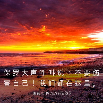 Picture 03 - 使 徒 行 传 16:28 CUVS - 保 罗 大 声 呼 叫 说 ： 不 要 伤 害 - Bible Verse Picture