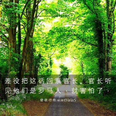 Picture 03 - 使 徒 行 传 16:38 CUVS - 差 役 把 这 话 回 禀 官 长 。 官 长 - Bible Verse Picture