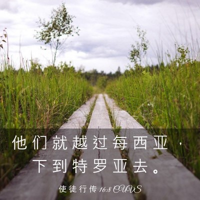 Picture 03 - 使 徒 行 传 16:8 CUVS - 他 们 就 越 过 每 西 亚 ， 下 到 特 - Bible Verse Picture