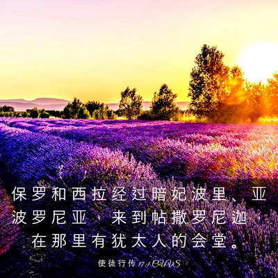 Picture 03 - 使 徒 行 传 17:1 CUVS - 保 罗 和 西 拉 经 过 暗 妃 波 里 、 - Bible Verse Picture