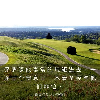 Picture 03 - 使 徒 行 传 17:2 CUVS - 保 罗 照 他 素 常 的 规 矩 进 去 ， - Bible Verse Picture