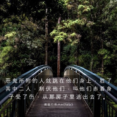 Picture 03 - 使 徒 行 传 19:16 CUVS - 恶 鬼 所 附 的 人 就 跳 在 他 们 身 - Bible Verse Picture