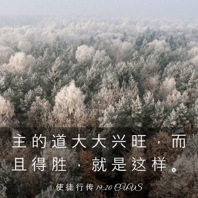 Picture 03 - 使 徒 行 传 19:20 CUVS - 主 的 道 大 大 兴 旺 ， 而 且 得 胜 - Bible Verse Picture