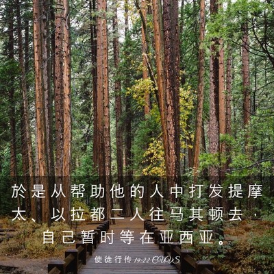 Picture 03 - 使 徒 行 传 19:22 CUVS - 於 是 从 帮 助 他 的 人 中 打 发 提 - Bible Verse Picture