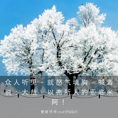 Picture 03 - 使 徒 行 传 19:28 CUVS - 众 人 听 见 ， 就 怒 气 填 胸 ， 喊 - Bible Verse Picture
