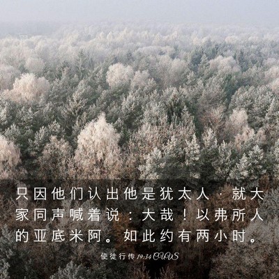 Picture 03 - 使 徒 行 传 19:34 CUVS - 只 因 他 们 认 出 他 是 犹 太 人 ， - Bible Verse Picture