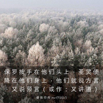 Picture 03 - 使 徒 行 传 19:6 CUVS - 保 罗 按 手 在 他 们 头 上 ， 圣 灵 - Bible Verse Picture