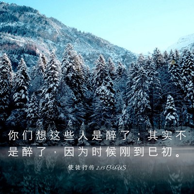 Picture 03 - 使 徒 行 传 2:15 CUVS - 你 们 想 这 些 人 是 醉 了 ； 其 实 - Bible Verse Picture