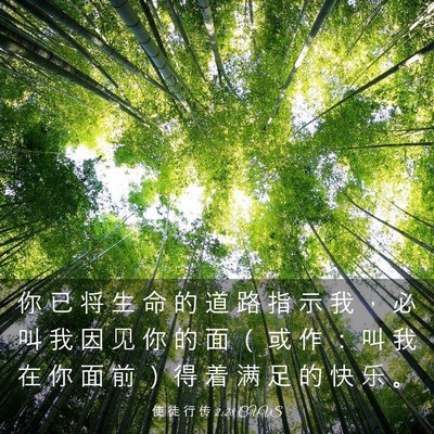 Picture 03 - 使 徒 行 传 2:28 CUVS - 你 已 将 生 命 的 道 路 指 示 我 ， - Bible Verse Picture