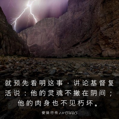 Picture 03 - 使 徒 行 传 2:31 CUVS - 就 预 先 看 明 这 事 ， 讲 论 基 督 - Bible Verse Picture