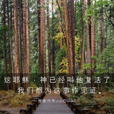 Picture 03 - 使 徒 行 传 2:32 CUVS - 这 耶 稣 ， 神 已 经 叫 他 复 活 了 - Bible Verse Picture