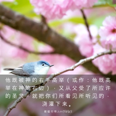 Picture 03 - 使 徒 行 传 2:33 CUVS - 他 既 被 神 的 右 手 高 举 （ 或 作 - Bible Verse Picture