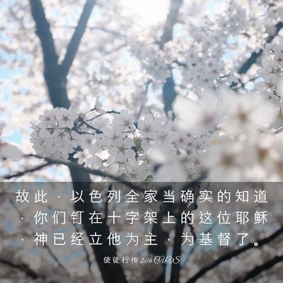 Picture 03 - 使 徒 行 传 2:36 CUVS - 故 此 ， 以 色 列 全 家 当 确 实 的 - Bible Verse Picture