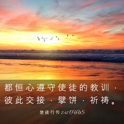 Picture 03 - 使 徒 行 传 2:42 CUVS - 都 恒 心 遵 守 使 徒 的 教 训 ， 彼 - Bible Verse Picture