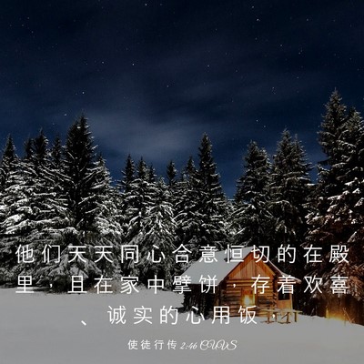 Picture 03 - 使 徒 行 传 2:46 CUVS - 他 们 天 天 同 心 合 意 恒 切 的 在 - Bible Verse Picture