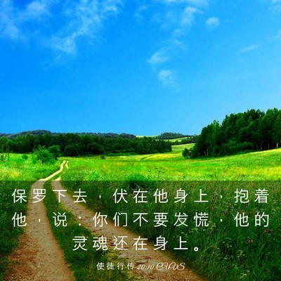 Picture 03 - 使 徒 行 传 20:10 CUVS - 保 罗 下 去 ， 伏 在 他 身 上 ， 抱 - Bible Verse Picture