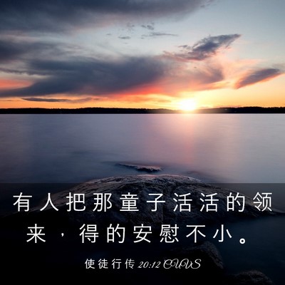 Picture 03 - 使 徒 行 传 20:12 CUVS - 有 人 把 那 童 子 活 活 的 领 来 ， - Bible Verse Picture
