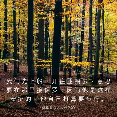 Picture 03 - 使 徒 行 传 20:13 CUVS - 我 们 先 上 船 ， 开 往 亚 朔 去 ， - Bible Verse Picture