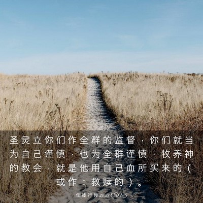 Picture 03 - 使 徒 行 传 20:28 CUVS - 圣 灵 立 你 们 作 全 群 的 监 督 ， - Bible Verse Picture
