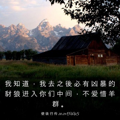 Picture 03 - 使 徒 行 传 20:29 CUVS - 我 知 道 ， 我 去 之 後 必 有 凶 暴 - Bible Verse Picture