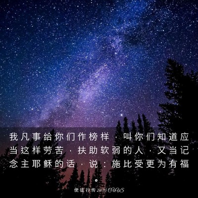 Picture 03 - 使 徒 行 传 20:35 CUVS - 我 凡 事 给 你 们 作 榜 样 ， 叫 你 - Bible Verse Picture