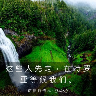Picture 03 - 使 徒 行 传 20:5 CUVS - 这 些 人 先 走 ， 在 特 罗 亚 等 候 - Bible Verse Picture