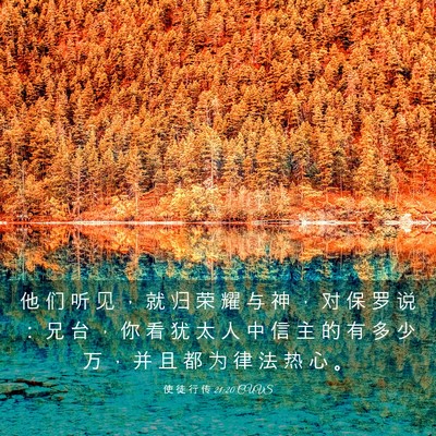 Picture 03 - 使 徒 行 传 21:20 CUVS - 他 们 听 见 ， 就 归 荣 耀 与 神 ， - Bible Verse Picture