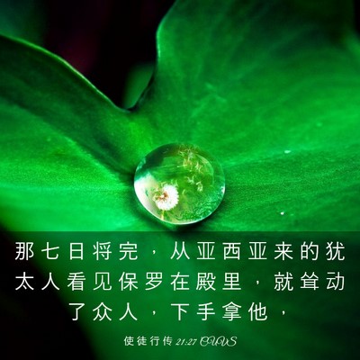 Picture 03 - 使 徒 行 传 21:27 CUVS - 那 七 日 将 完 ， 从 亚 西 亚 来 的 - Bible Verse Picture