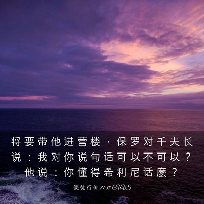 Picture 03 - 使 徒 行 传 21:37 CUVS - 将 要 带 他 进 营 楼 ， 保 罗 对 千 - Bible Verse Picture