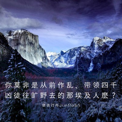 Picture 03 - 使 徒 行 传 21:38 CUVS - 你 莫 非 是 从 前 作 乱 、 带 领 四 - Bible Verse Picture