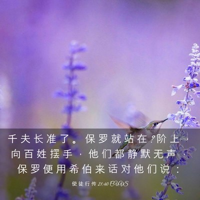 Picture 03 - 使 徒 行 传 21:40 CUVS - 千 夫 长 准 了 。 保 罗 就 站 在 ? 阶 - Bible Verse Picture