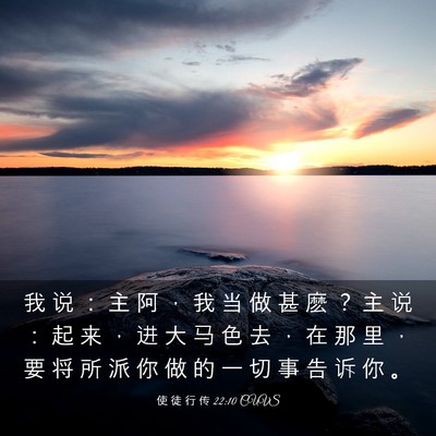 Picture 03 - 使 徒 行 传 22:10 CUVS - 我 说 ： 主 阿 ， 我 当 做 甚 麽 ？ - Bible Verse Picture